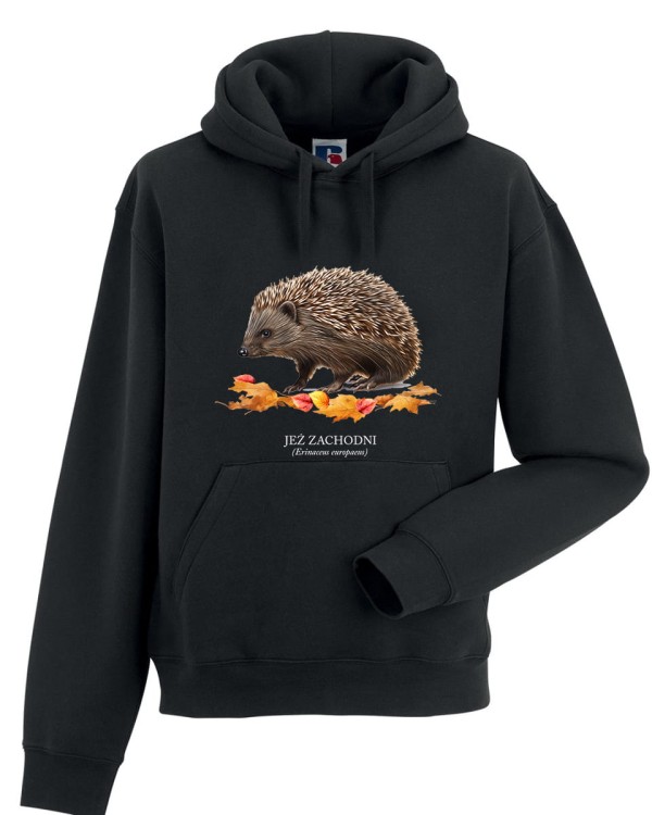 Jeż zachodni - Erinaceus europaeus - Jeż europejski - Jeż - Prezent dla przyrodnika - Prezent dla miłośnika jeży - Bluza