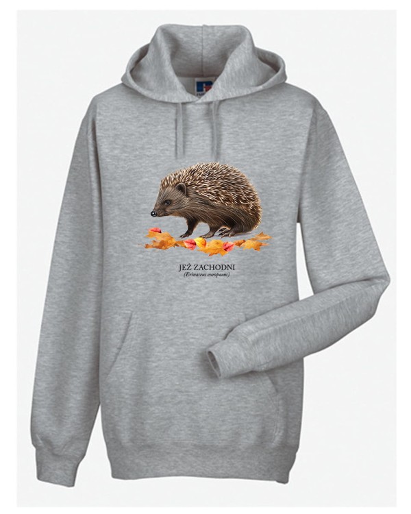 Jeż zachodni - Erinaceus europaeus - Jeż europejski - Jeż - Prezent dla przyrodnika - Prezent dla miłośnika jeży - Bluza