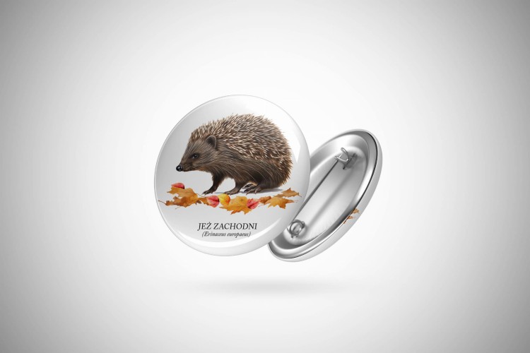 Jeż zachodni - Erinaceus europaeus - Jeż europejski - Jeż - Prezent dla przyrodnika - Prezent dla miłośnika jeży - Przypinka