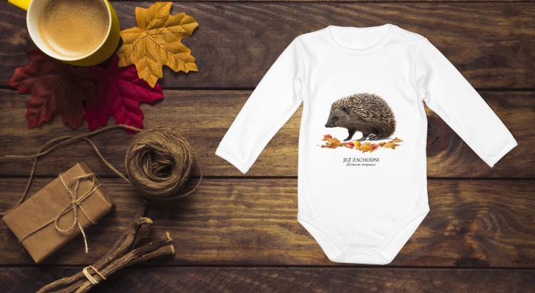 Jeż zachodni - Erinaceus europaeus - Jeż europejski - Jeż - Prezent dla przyrodnika - Prezent dla miłośnika jeży - Body - Bodziak