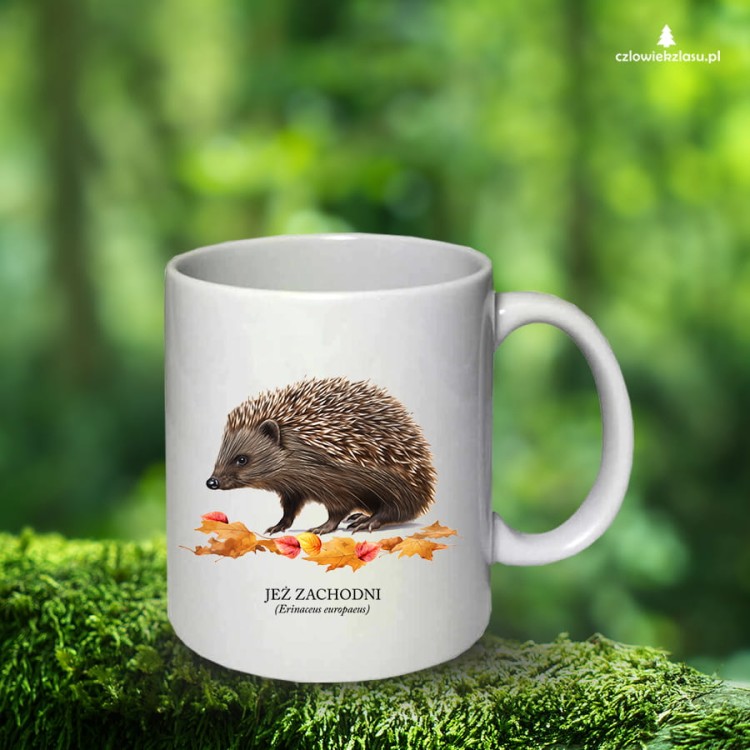 Jeż zachodni - Erinaceus europaeus - Jeż europejski - Jeż - Prezent dla przyrodnika - Prezent dla miłośnika jeży - Kubek ceramiczny