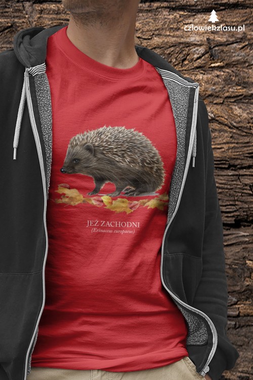 Jeż zachodni - Erinaceus europaeus - Jeż europejski - Jeż - Prezent dla przyrodnika - Prezent dla miłośnika jeży - Koszulka