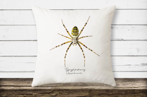 Biała poduszka z mikrofibry z tygrzykiem paskowanym (Argiope bruennichi) - autorska grafika Pauliny Strejczek-Jaźwińskiej. Rozmiar 39x39 cm, wypełnienie ze sztucznego puchu. Kolekcja Pająki, Człowiek z Lasu.