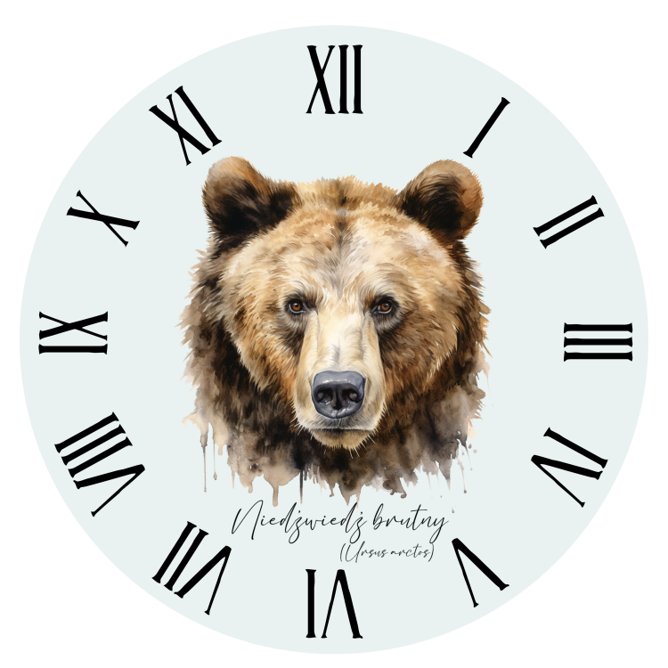 Niedźwiedź brunatny - Ursus arctos - Niedźwiedź - Głowa niedźwiedzia - Prezent dla przyrodnika - Zegar - Człowiek z lasu - Zegar z niedźwiedziem - Prezent dla leśnika