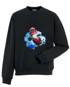 Pomurnik - Tichodroma muraria - Prezent dla ornitologa - Prezent dla przyrodnika - Bluza z Pomurnikiem - Bluza - Człowiek z lasu