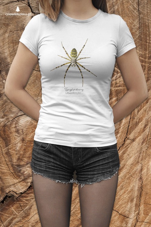 Tygrzyk paskowany - Argiope bruennichi - Prezent dla arachnologa - Prezent dla przyrodnika - Koszulka - Człowiek z lasu
