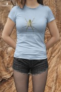 Tygrzyk paskowany - Argiope bruennichi - Prezent dla arachnologa - Prezent dla przyrodnika - Koszulka - Człowiek z lasu