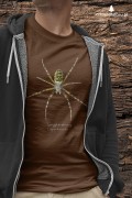 Tygrzyk paskowany - Argiope bruennichi - Prezent dla arachnologa - Prezent dla przyrodnika - Koszulka - Człowiek z lasu