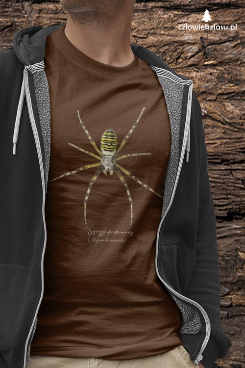 Tygrzyk paskowany - Argiope bruennichi - Prezent dla arachnologa - Prezent dla przyrodnika - Koszulka - Człowiek z lasu
