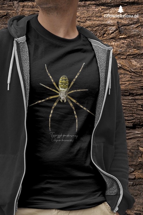 Tygrzyk paskowany - Argiope bruennichi - Prezent dla arachnologa - Prezent dla przyrodnika - Koszulka - Człowiek z lasu