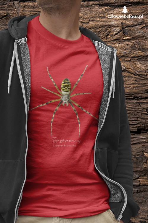 Tygrzyk paskowany - Argiope bruennichi - Prezent dla arachnologa - Prezent dla przyrodnika - Koszulka - Człowiek z lasu