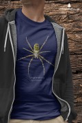 Tygrzyk paskowany - Argiope bruennichi - Prezent dla arachnologa - Prezent dla przyrodnika - Koszulka - Człowiek z lasu