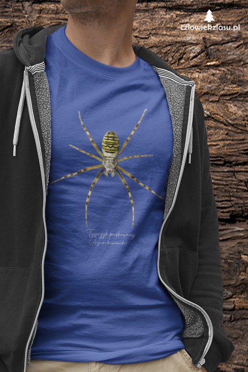 Tygrzyk paskowany - Argiope bruennichi - Prezent dla arachnologa - Prezent dla przyrodnika - Koszulka - Człowiek z lasu