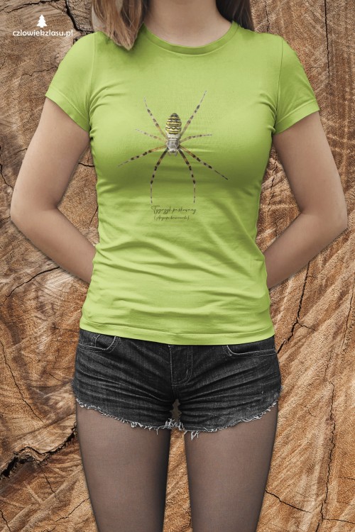 Tygrzyk paskowany - Argiope bruennichi - Prezent dla arachnologa - Prezent dla przyrodnika - Koszulka - Człowiek z lasu