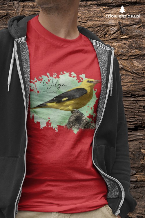 Wilga zwyczajna - Oriolus oriolus - Prezent dla ornitologa – Prezent dla przyrodnika - Koszulka z wilgą - Człowiek z lasu