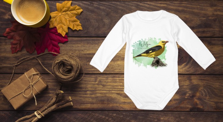 bodziakNew2dl (1).jpg