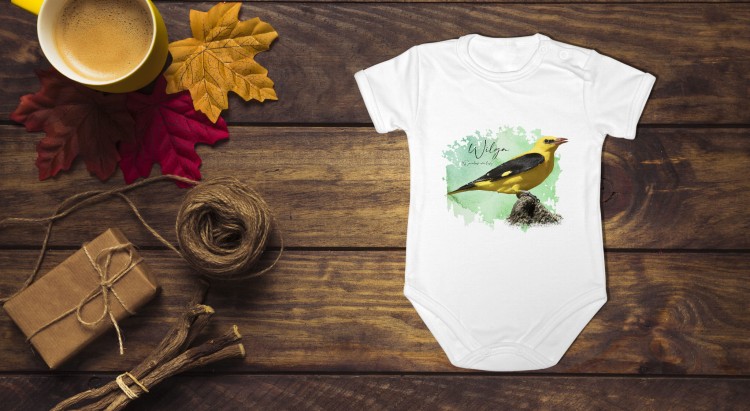 bodziakNew2Kr (1).jpg