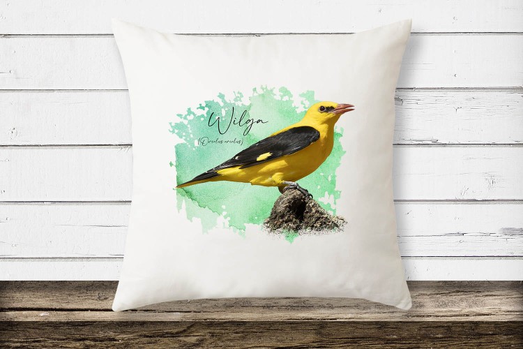 poduszka2 kopia (1).jpg