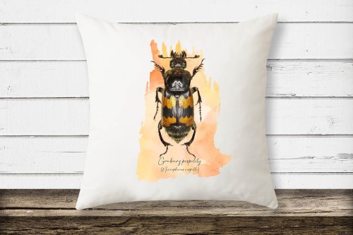 Grabarz pospolity /Nicrophorus vespillo/ - Poduszka z grabarzem - Poduszka z chrząszczem