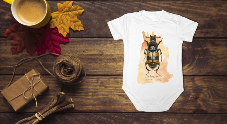 Body - Grabarz pospolity /Nicrophorus vespillo/ - Bodziak z grabarzem pospolitym - Krótki rękaw