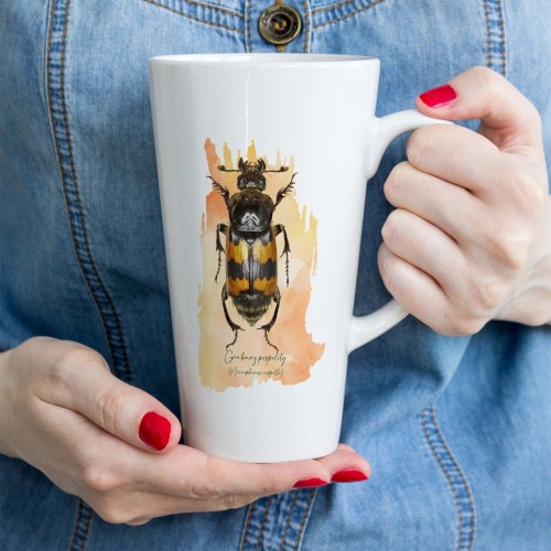 Grabarz pospolity /Nicrophorus vespillo/  - Kubek latte - Prezent dla entomologa