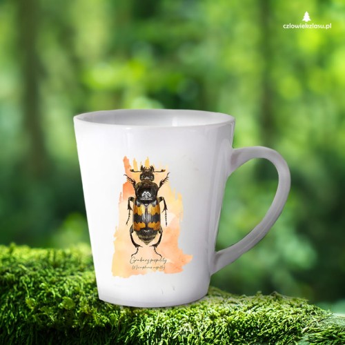 Grabarz pospolity /Nicrophorus vespillo/  - Kubek latte - Prezent dla entomologa