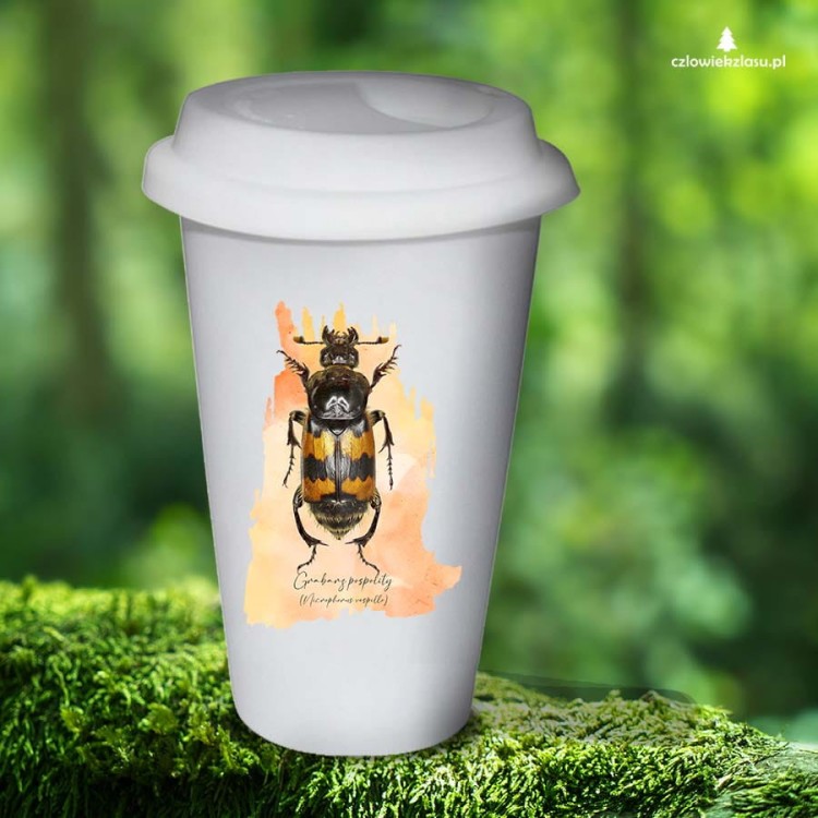 Grabarz pospolity /Nicrophorus vespillo/  – Tumbler  - Prezent dla entomologa