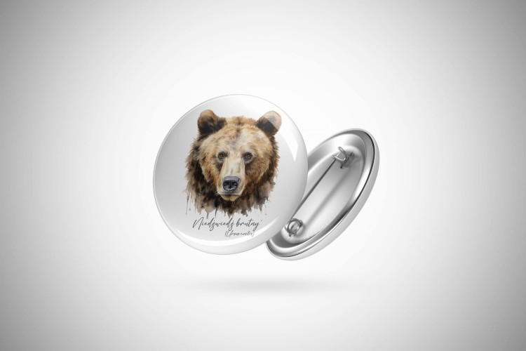 Niedźwiedź brunatny /Ursus arctos/ - Przypinka - Button
