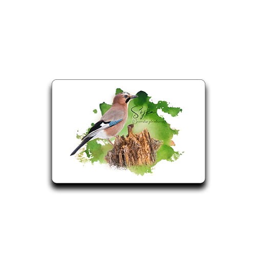 Sójka /Garrulus glandarius / - prezent dla ornitologa - Magnes