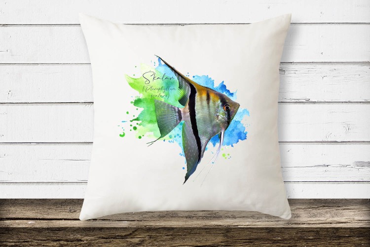 Skalar /Pterophyllum scalare/ - Poduszka