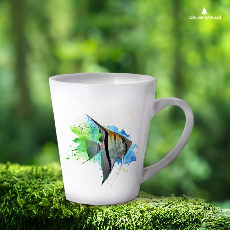 Skalar /Pterophyllum scalare/- Kubek latte