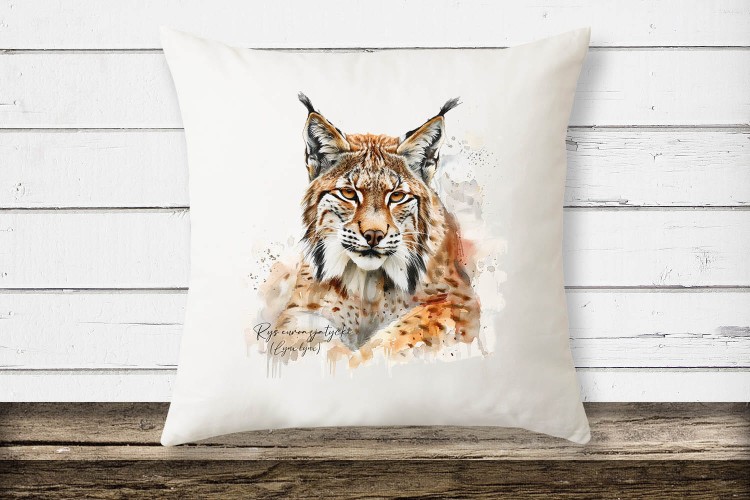 Ryś euroazjatycki 2# - Lynx lynx - Poduszka z rysiem