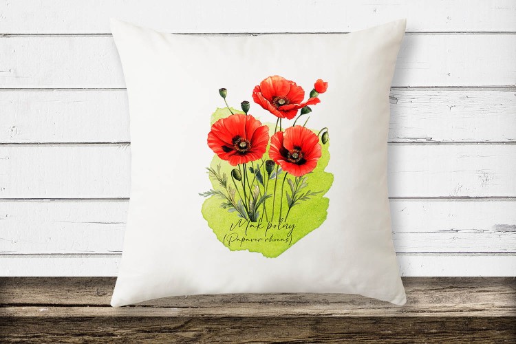 Mak polny /Papaver rhoeas L./ – prezent dla botanika, prezent dla florysty, miłośnika roślin - Poduszka