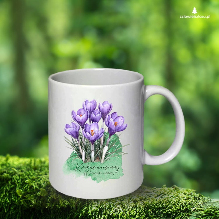 Krokus wiosenny /Crocus vernus/– prezent dla botanika, prezent dla florysty, miłośnika roślin - kubek ceramiczny