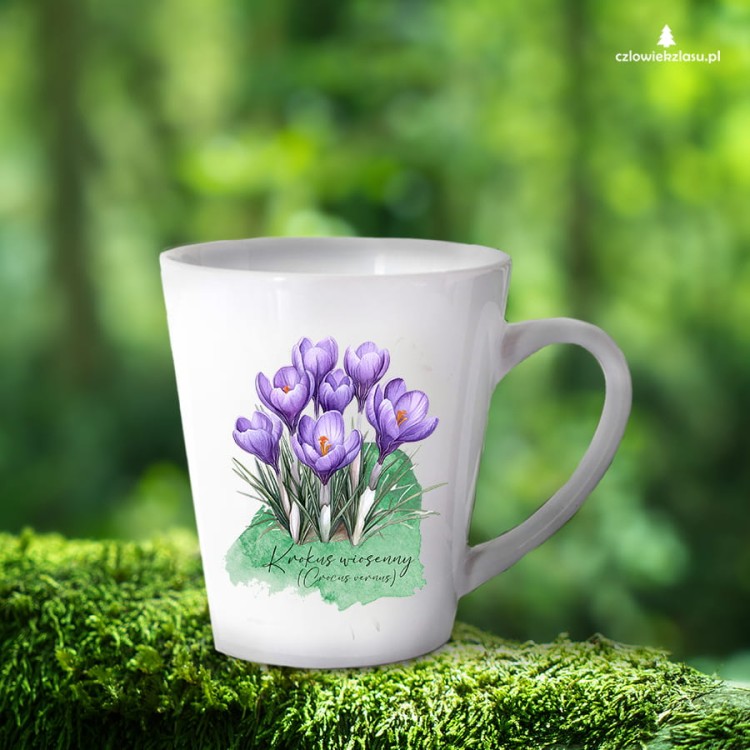 Krokus wiosenny /Crocus vernus/ – prezent dla botanika, prezent dla florysty, miłośnika roślin - Kubek latte