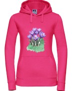 Krokus wiosenny /Crocus vernus/ – prezent dla botanika, prezent dla florysty, miłośnika roślin - Bluza z kapturem / Bluza bez kaptura