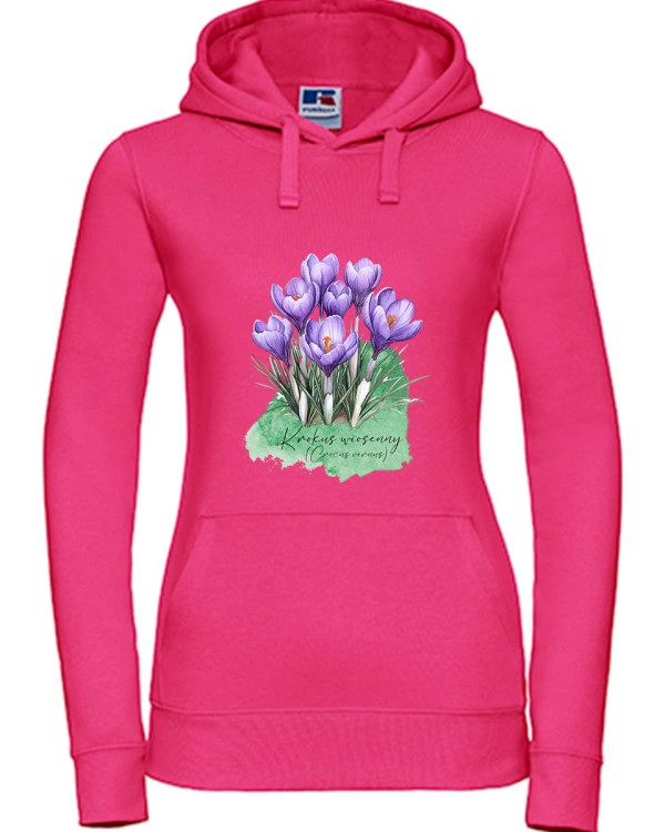 Krokus wiosenny /Crocus vernus/ – prezent dla botanika, prezent dla florysty, miłośnika roślin - Bluza z kapturem / Bluza bez kaptura