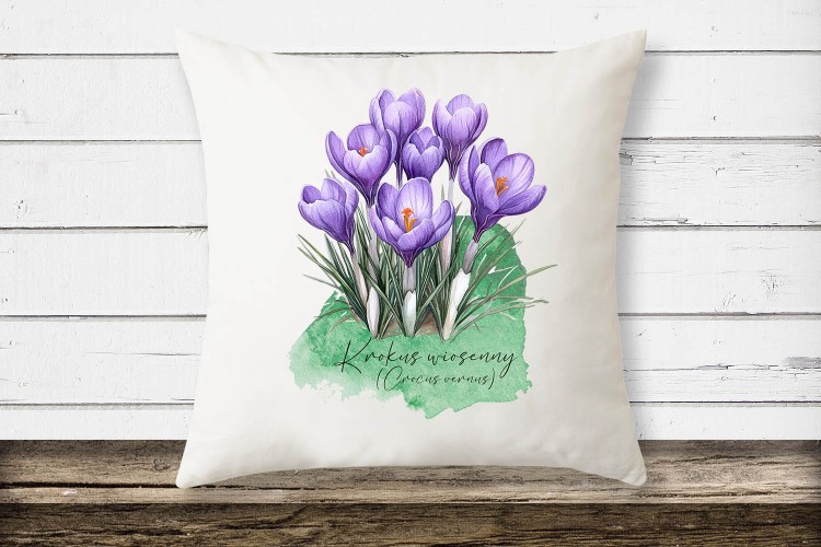 Krokus wiosenny /Crocus vernus/– prezent dla botanika, prezent dla florysty, miłośnika roślin - Poduszka