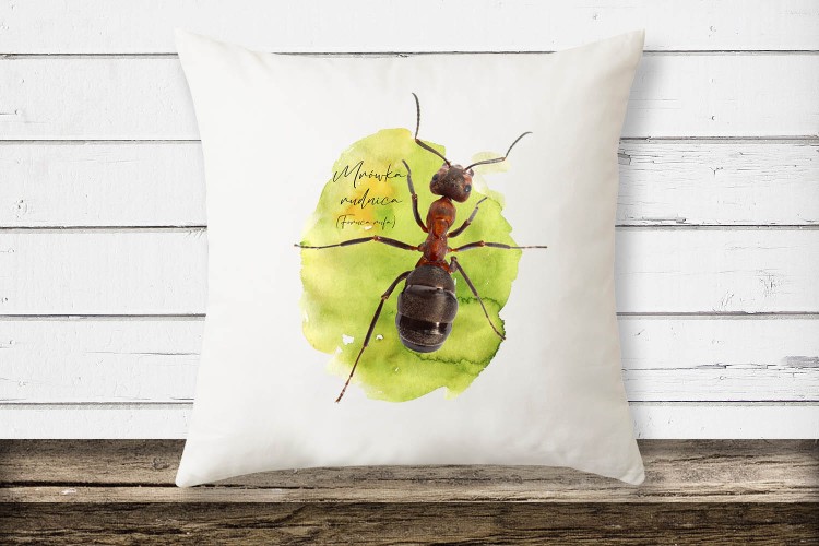 Mrówka rudnica - Formica rufa - Poduszka