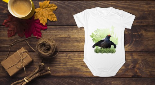 Cietrzew /Lyrurus tetrix/- Body - Bodziak