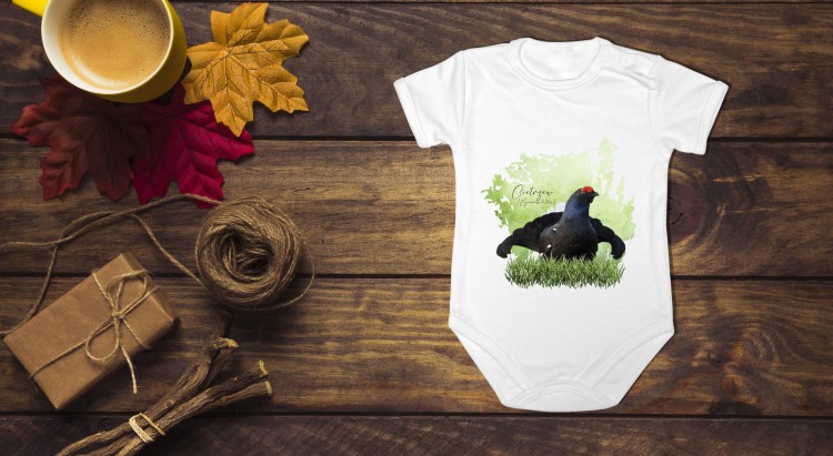 Cietrzew /Lyrurus tetrix/- Body - Bodziak