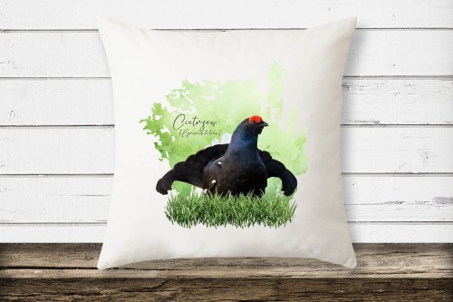 Cietrzew /Lyrurus tetrix/ - prezent dla ornitologa - Poduszka