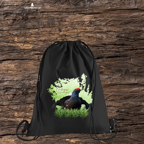 Cietrzew /Lyrurus tetrix/ - prezent dla ornitologa - Worek-Plecak