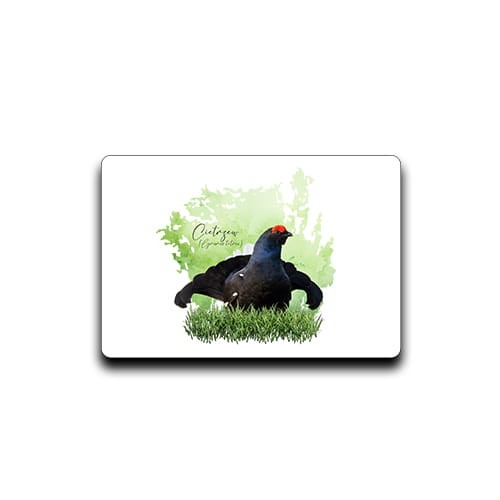 Cietrzew /Lyrurus tetrix/ - prezent dla ornitologa - Magnes