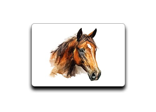 Koń głowa - Magnes