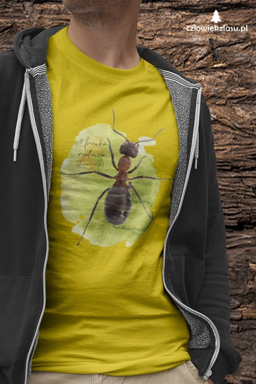 Koszulka Mrówka rudnica – Formica rufa prezent dla przyrodnika