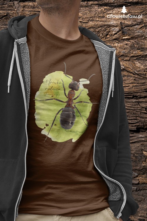 Koszulka Mrówka rudnica – Formica rufa - Ant