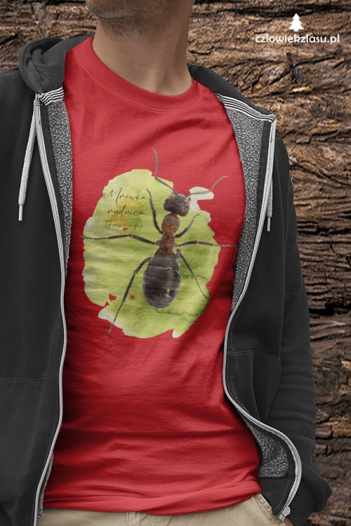 Koszulka Mrówka rudnica – Formica rufa prezent dla przyrodnika od polskiej marki czlowiekzlasu.pl