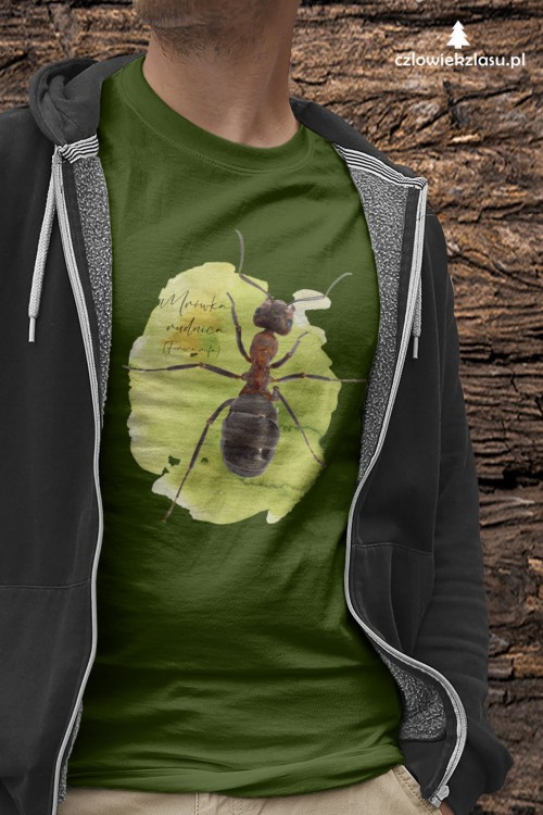 Koszulka Mrówka rudnica – Formica rufa przód