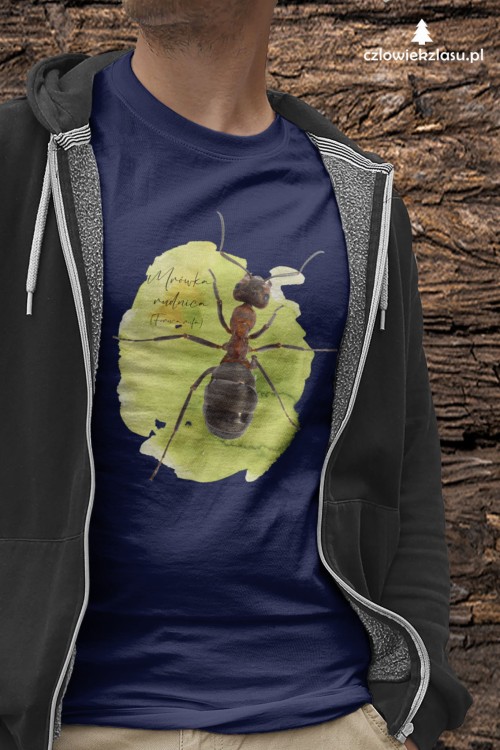 Prezent dla entomologa - Koszulka Mrówka rudnica – Formica rufa